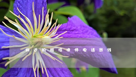 附近的赔偿律师电话热线 附近的赔偿律师电话热线
