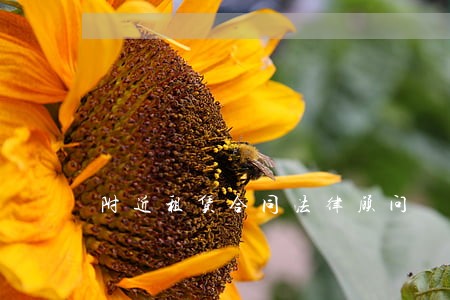附近租赁合同法律顾问 附近租赁合同法律顾问