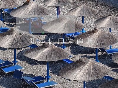陆丰信用卡逾期