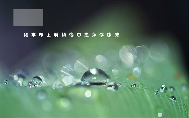 陆丰市上英镇海口庄永汉违法 陆丰市上英镇海口庄永汉违法