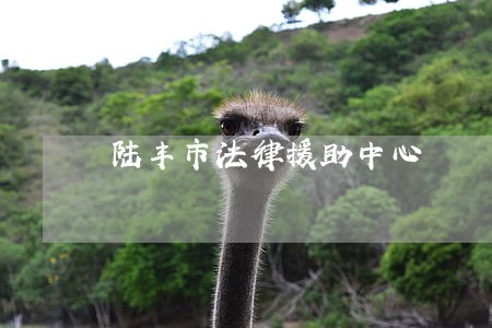 陆丰市法律援助中心 陆丰市法律援助中心