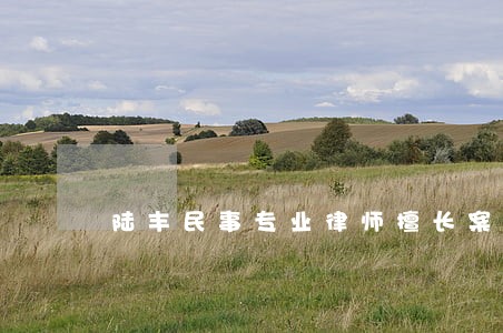 陆丰民事专业律师擅长案件 陆丰民事专业律师擅长案件