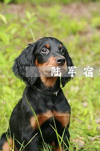 陆军宿迁法院判决 陆军宿迁法院判决