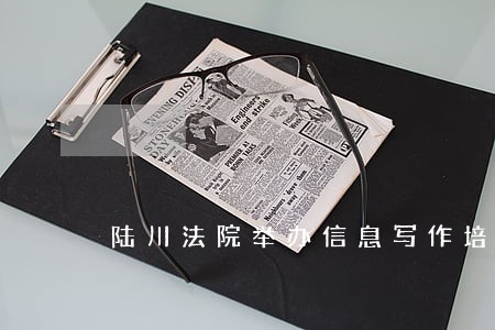陆川法院举办信息写作培训
