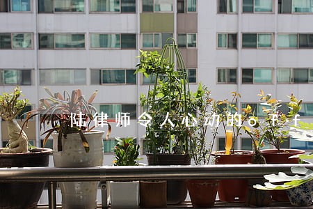 陆律师令人心动的offer2 陆律师令人心动的offer2