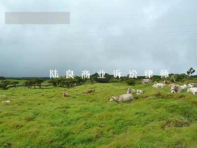 陆良商业诉讼律师