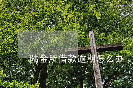 陆金所借款逾期怎么办 陆金所借款逾期怎么办