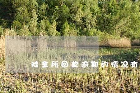 陆金所回款逾期的情况有吗 陆金所回款逾期的情况有吗