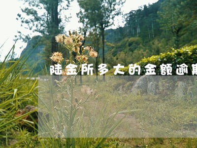 陆金所多大的金额逾期率低 陆金所多大的金额逾期率低