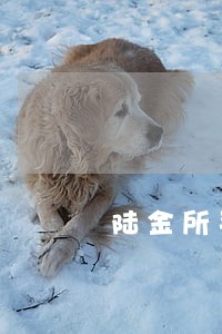 陆金所平台渤海信托逾期 陆金所平台渤海信托逾期