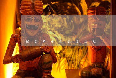 陆金所平台资金逾期 陆金所平台资金逾期