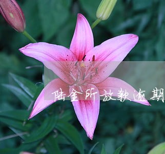 陆金所放款逾期上征信吗 陆金所放款逾期上征信吗