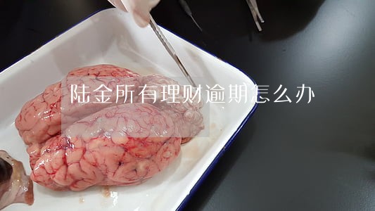 陆金所有理财逾期怎么办 陆金所有理财逾期怎么办