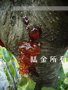 陆金所有逾期没有兑付情况吗 陆金所有逾期没有兑付情况吗
