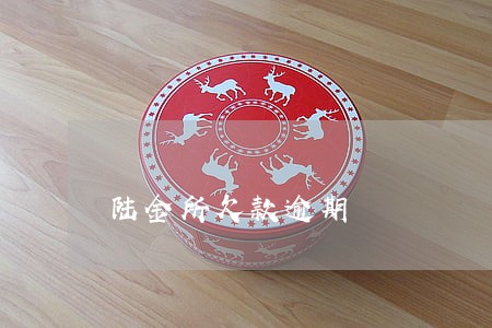 陆金所欠款逾期 陆金所欠款逾期