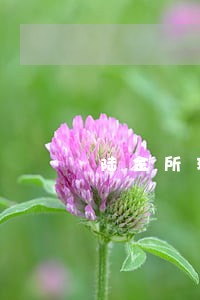 陆金所现金贷逾期了怎么样办 陆金所现金贷逾期了怎么样办