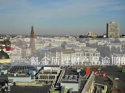 陆金所理财产品逾期的追缴责任 陆金所理财产品逾期的追缴责任