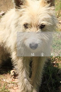 陆金所网贷逾期会多久 陆金所网贷逾期会多久