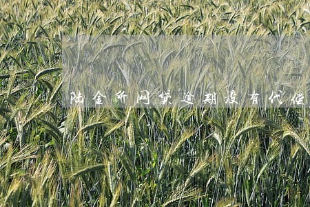 陆金所网贷逾期没有代偿 陆金所网贷逾期没有代偿