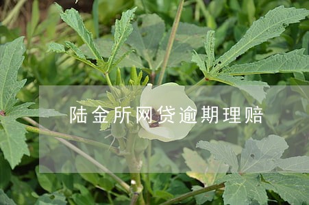 陆金所网贷逾期理赔 陆金所网贷逾期理赔