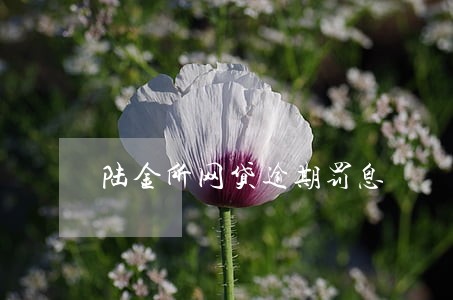 陆金所网贷逾期罚息 陆金所网贷逾期罚息
