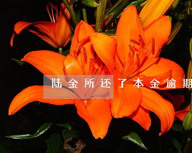 陆金所还了本金逾期 陆金所还了本金逾期