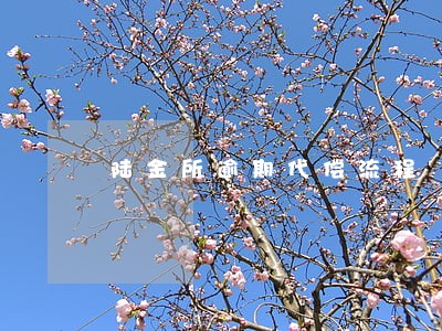 陆金所逾期代偿流程 陆金所逾期代偿流程