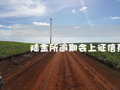 陆金所逾期会上征信系统吗 陆金所逾期会上征信系统吗