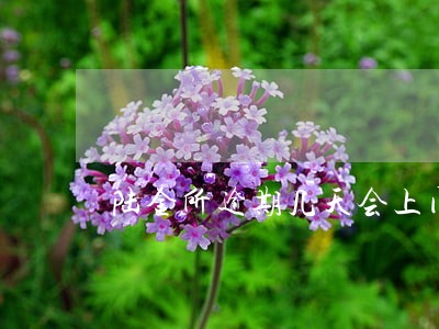 陆金所逾期几天会上门 陆金所逾期几天会上门