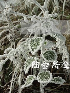陆金所逾期处理时间 陆金所逾期处理时间