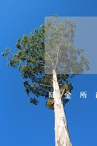 陆金所逾期多久会上征信