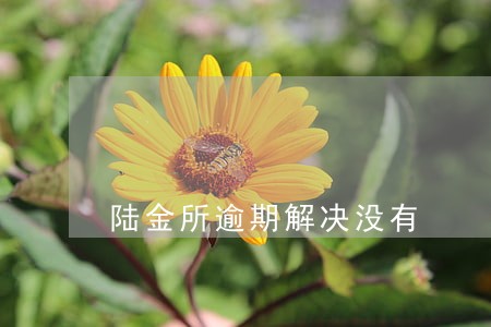 陆金所逾期解决没有 陆金所逾期解决没有