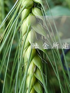 陆金所逾期赔偿时间 陆金所逾期赔偿时间