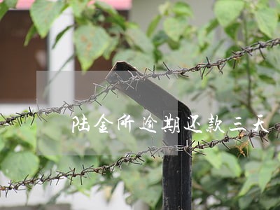 陆金所逾期还款三天 陆金所逾期还款三天