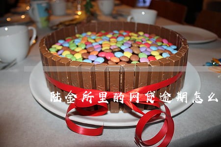 陆金所里的网贷逾期怎么办 陆金所里的网贷逾期怎么办