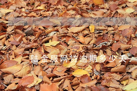 陆金服网贷逾期多少天 陆金服网贷逾期多少天