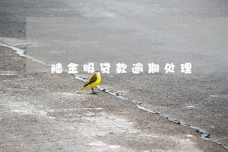 陆金服贷款逾期处理 陆金服贷款逾期处理