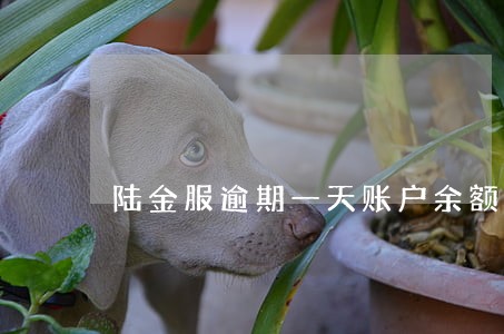 陆金服逾期一天账户余额冻结 陆金服逾期一天账户余额冻结