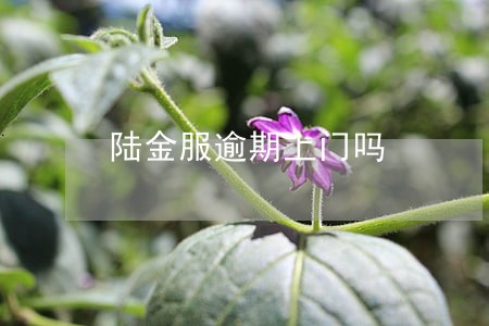 陆金服逾期上门吗