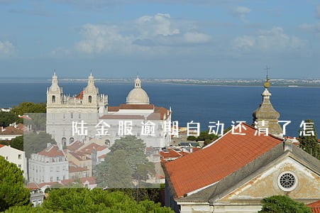 陆金服逾期自动还清了怎么回事