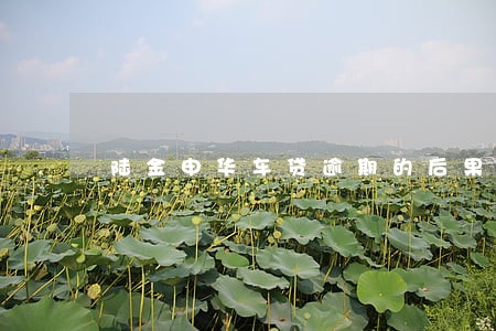 陆金申华车贷逾期的后果 陆金申华车贷逾期的后果