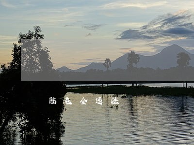 陆龟全违法 陆龟全违法