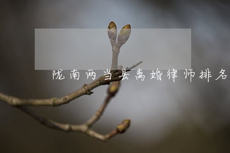 陇南两当县离婚律师排名 陇南两当县离婚律师排名