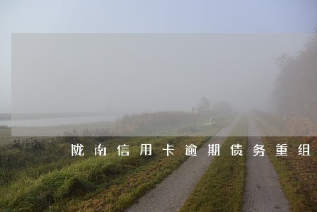 陇南信用卡逾期债务重组怎么协商