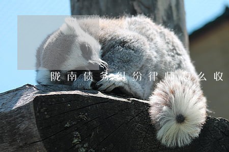 陇南债务纠纷律师怎么收费 陇南债务纠纷律师怎么收费