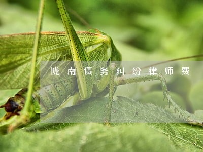 陇南债务纠纷律师费 陇南债务纠纷律师费