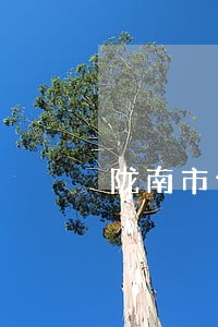 陇南市住房公积金逾期名单 陇南市住房公积金逾期名单