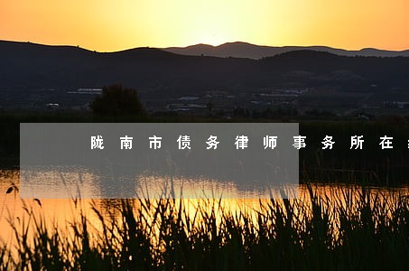 陇南市债务律师事务所在线解答 陇南市债务律师事务所在线解答