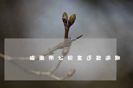 陇南市公积金还款逾期 陇南市公积金还款逾期