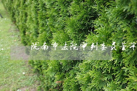 陇南市法院审判委员董萍